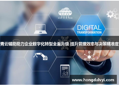 青云辅助助力企业数字化转型全面升级 提升管理效率与决策精准度