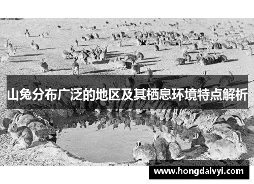 山兔分布广泛的地区及其栖息环境特点解析